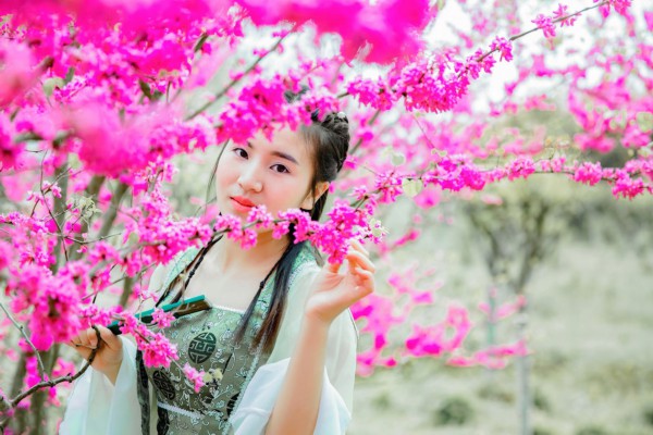 武汉品茶协会夜网：茗香夜话，养生茶韵共享时光